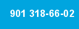 901 318-66-02